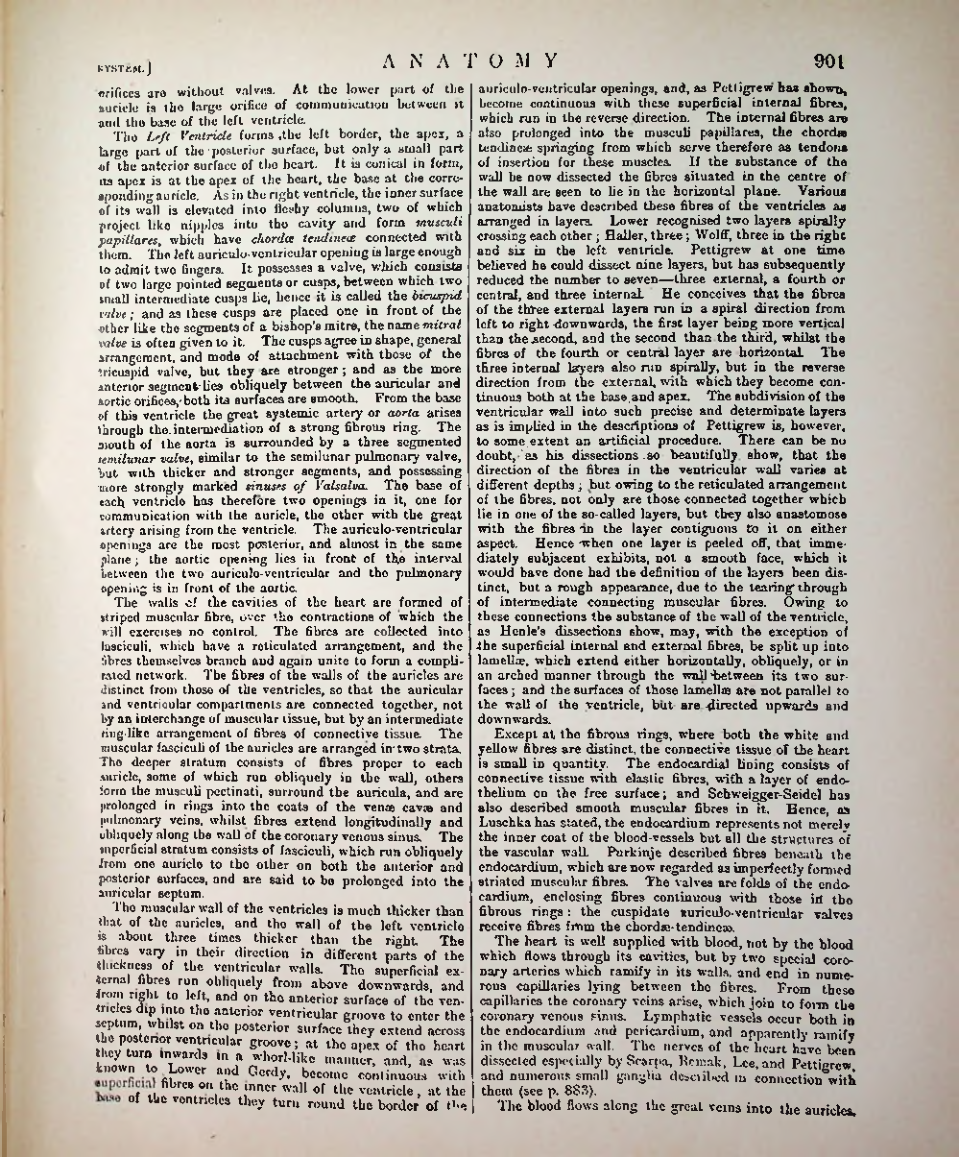 Страница 930