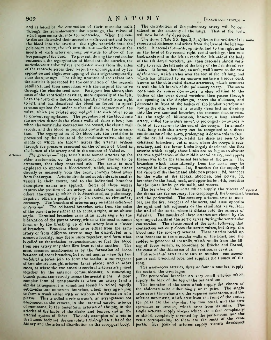 Страница 931