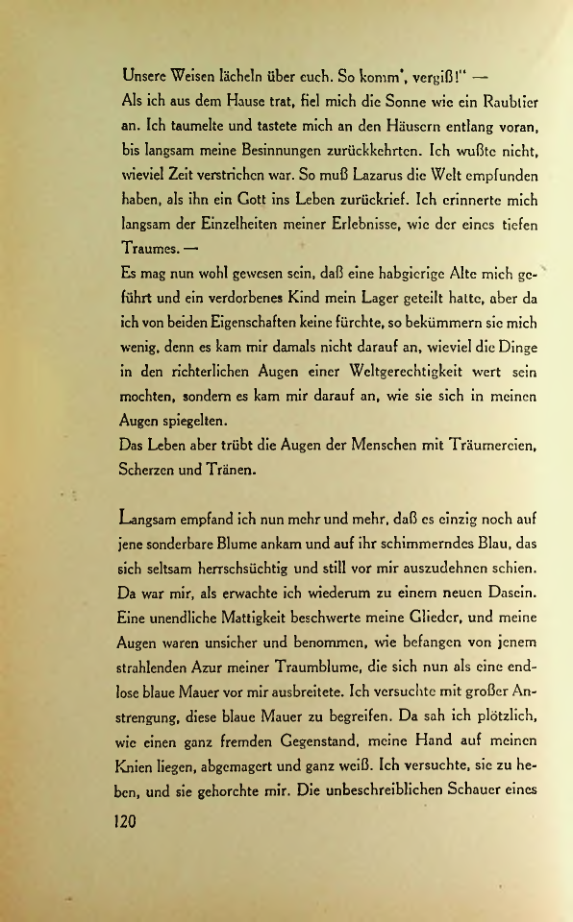 Страница 117