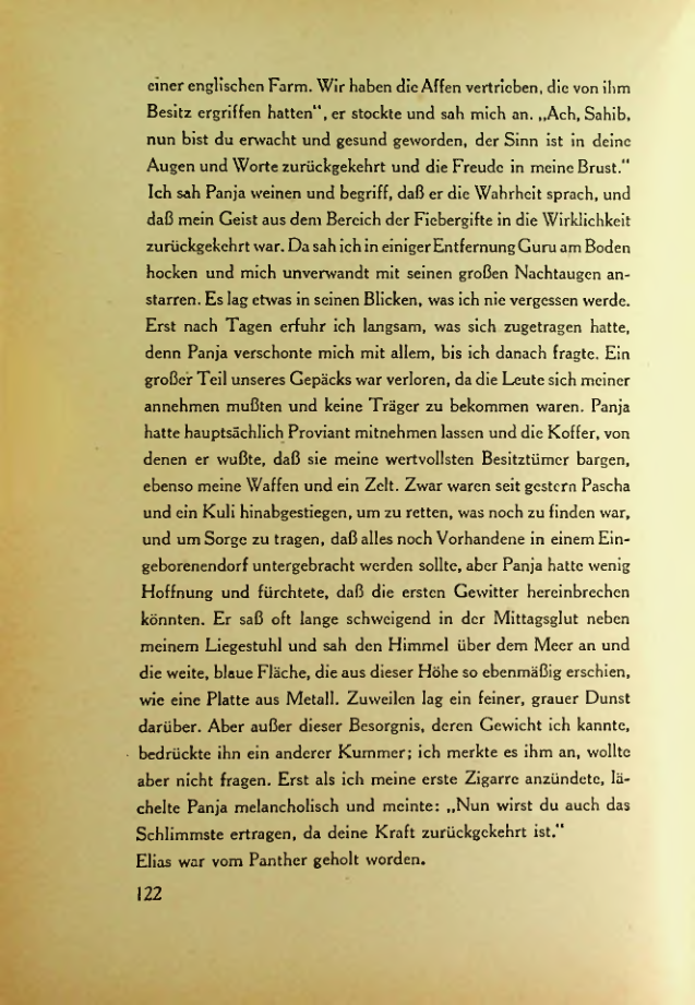 Страница 119