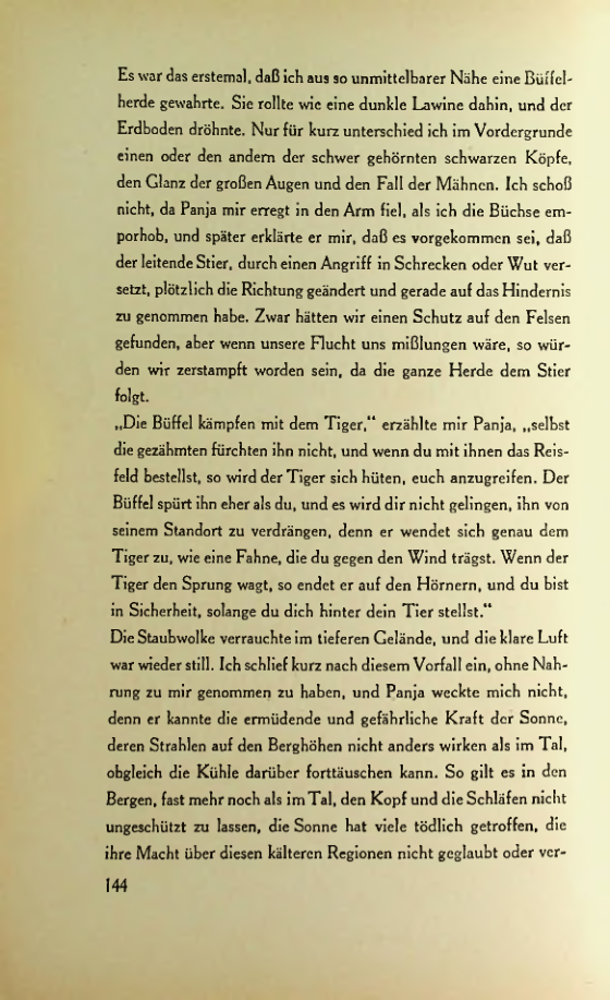 Страница 141