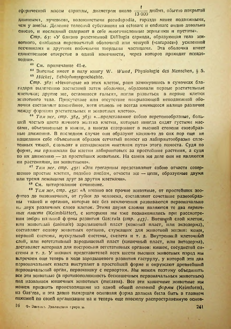 Страница 243