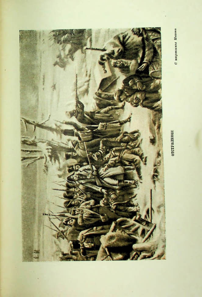 Страница 313