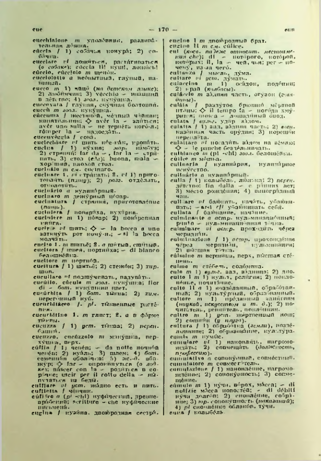 Страница 171