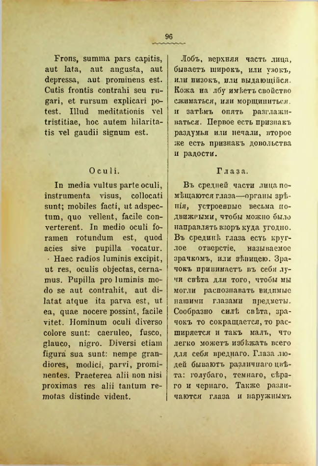 Страница 100