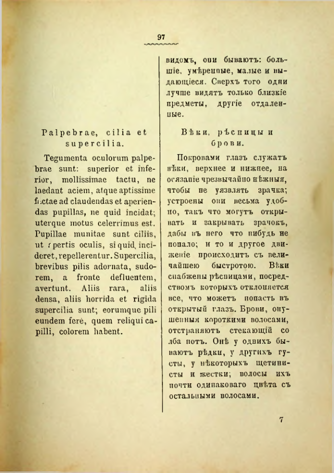 Страница 101