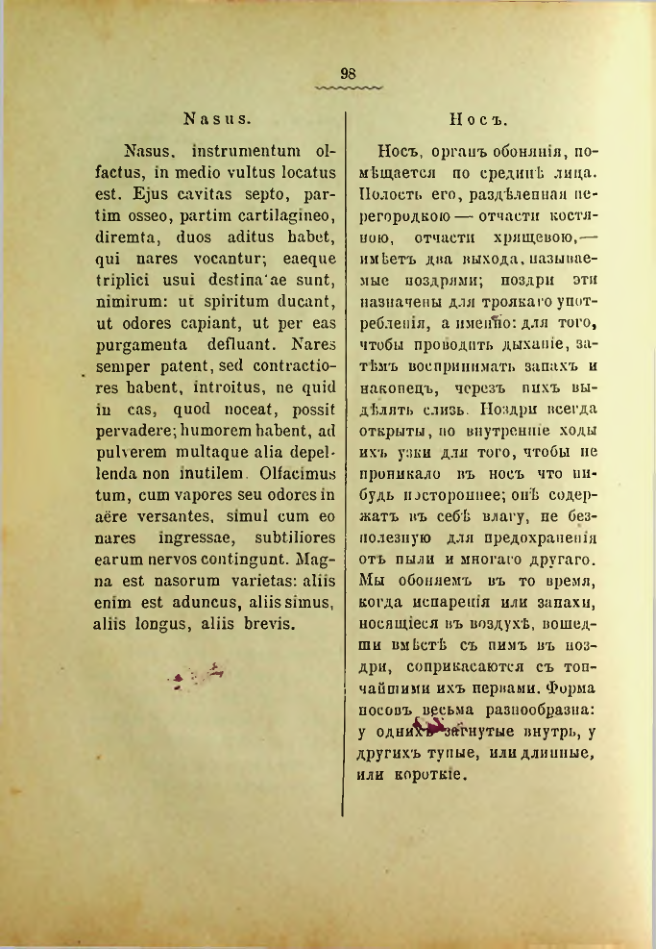 Страница 102