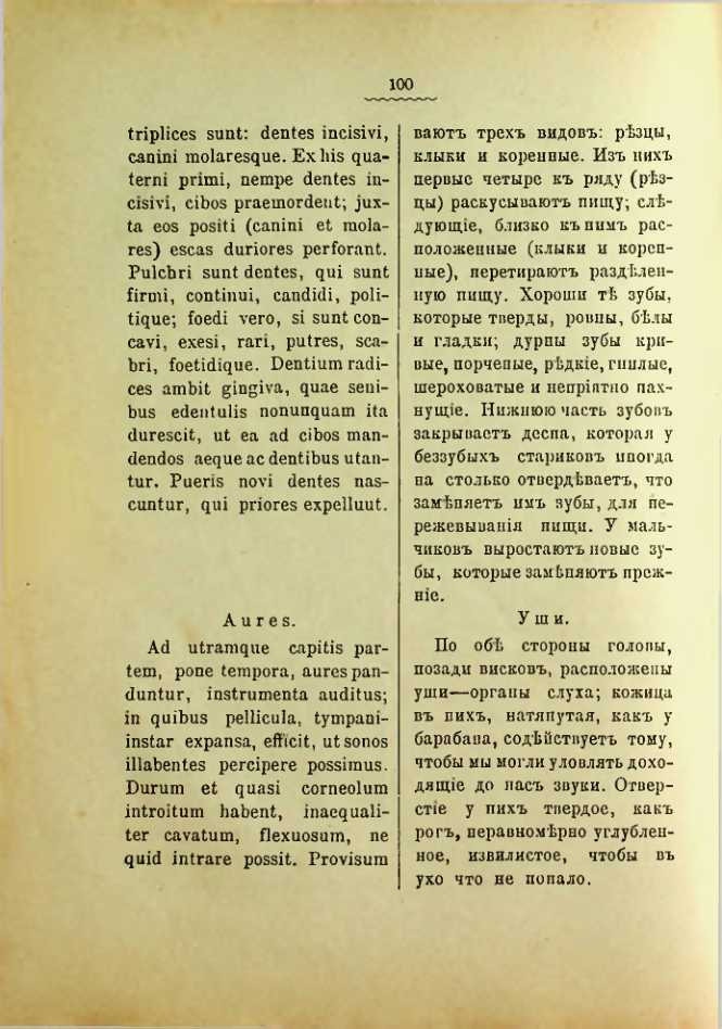 Страница 104