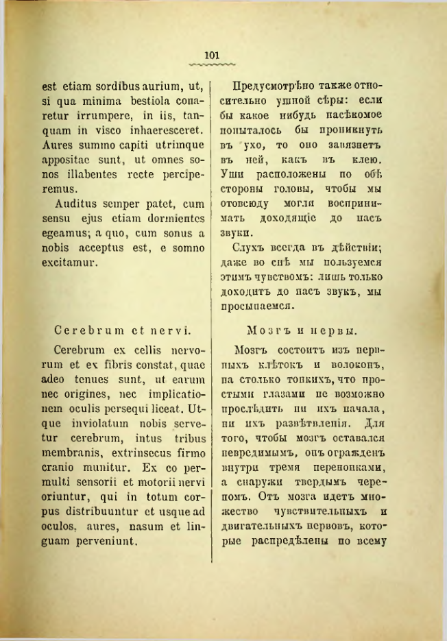 Страница 105