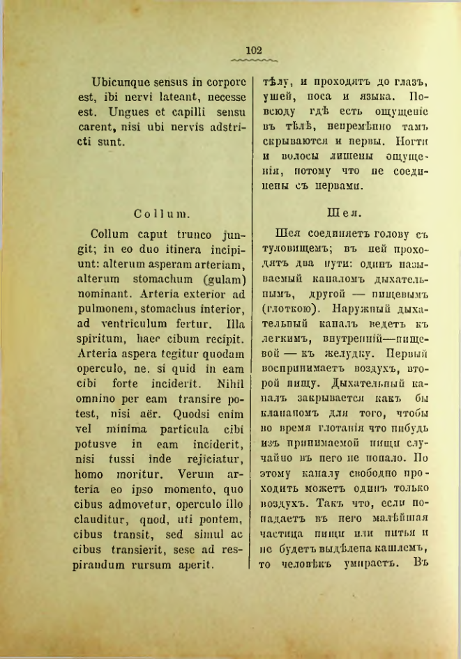 Страница 106