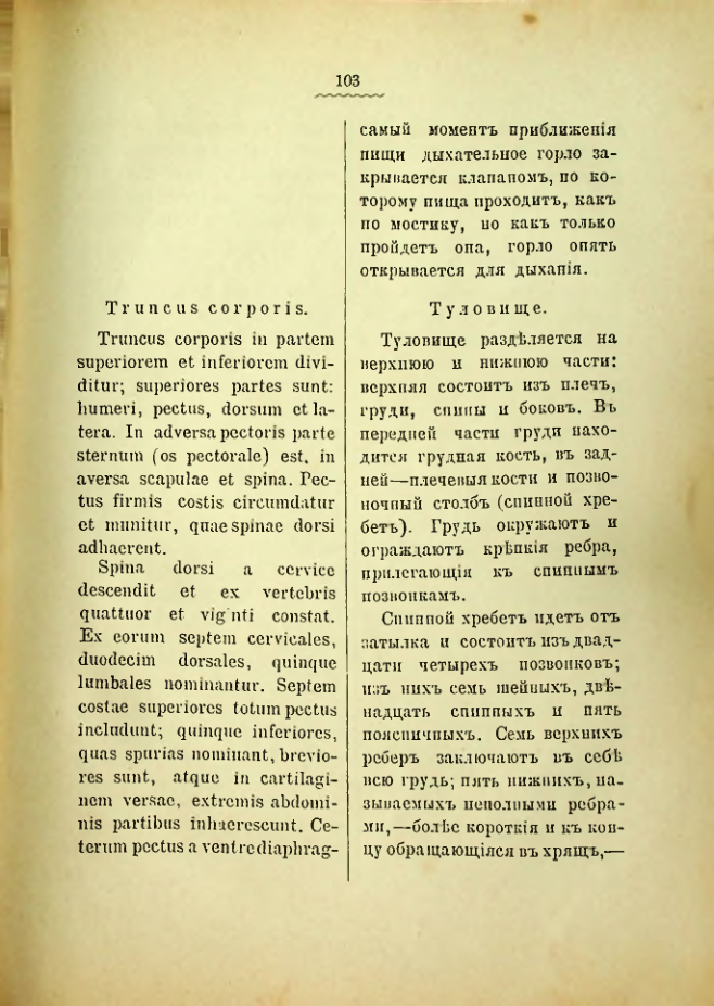 Страница 107