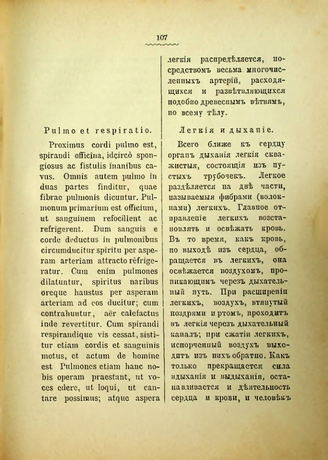 Страница 111