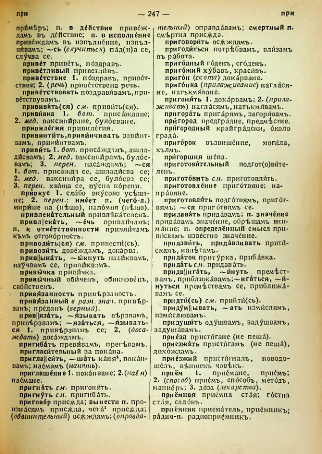 Страница 249