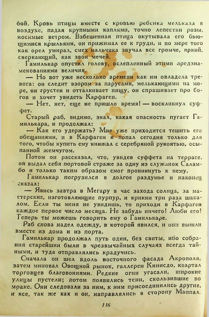 Страница 116
