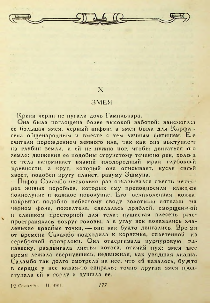 Страница 177