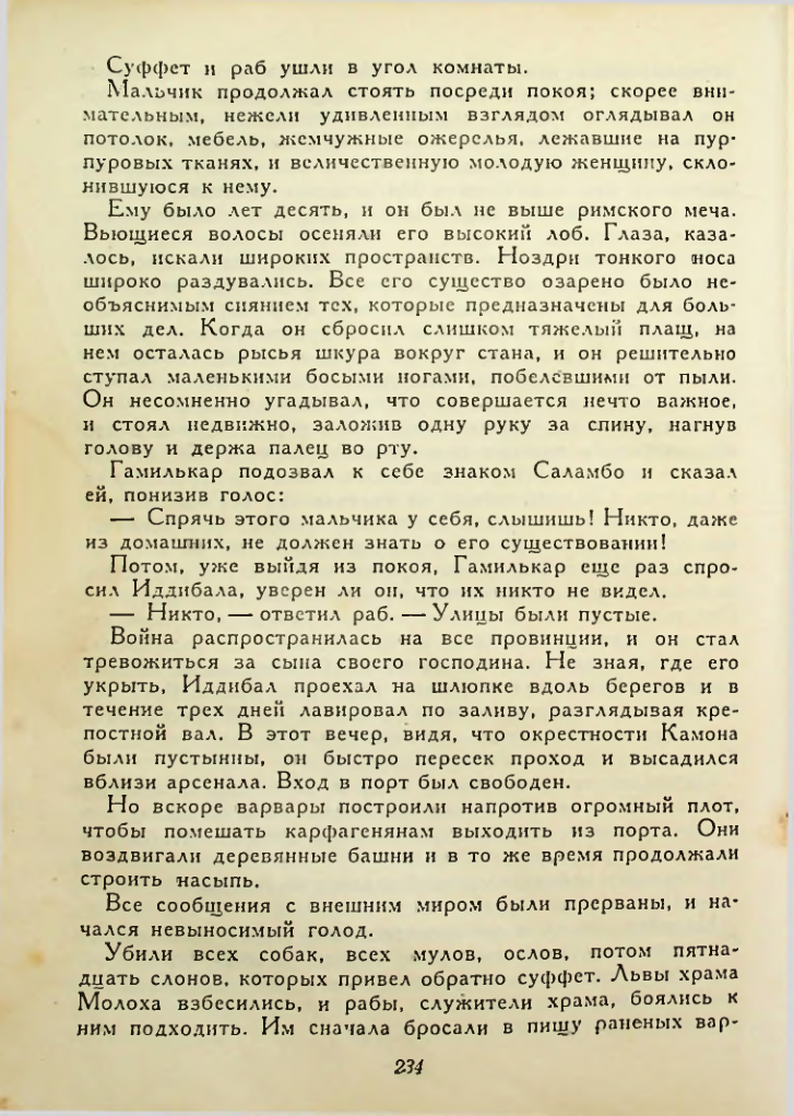 Страница 234