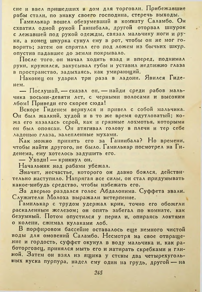 Страница 245