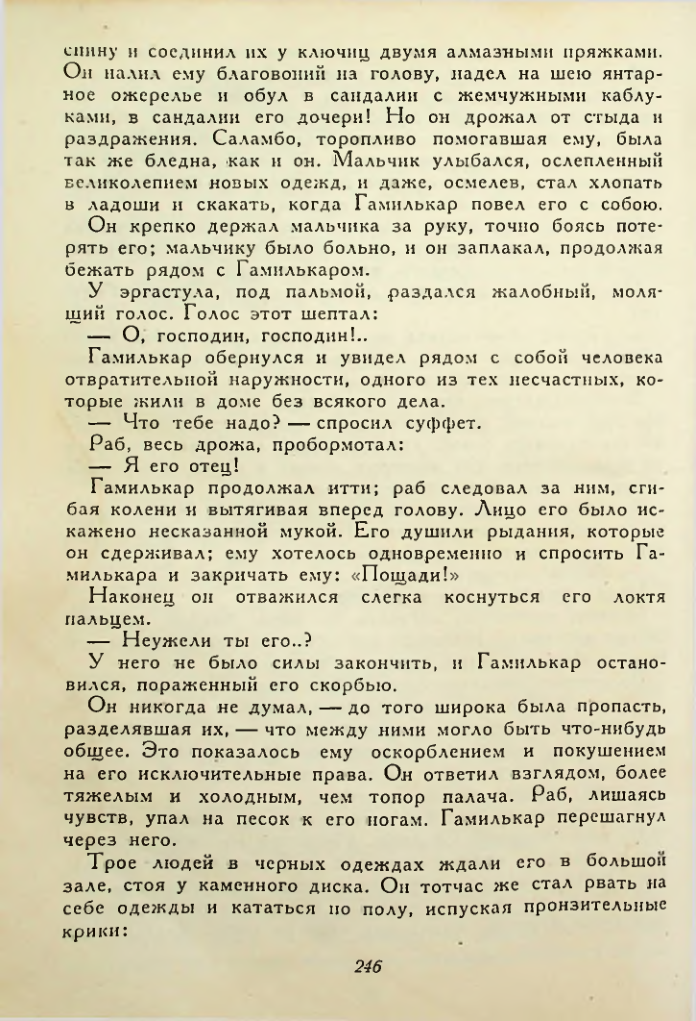 Страница 246