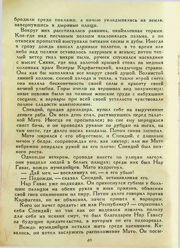 Страница 40