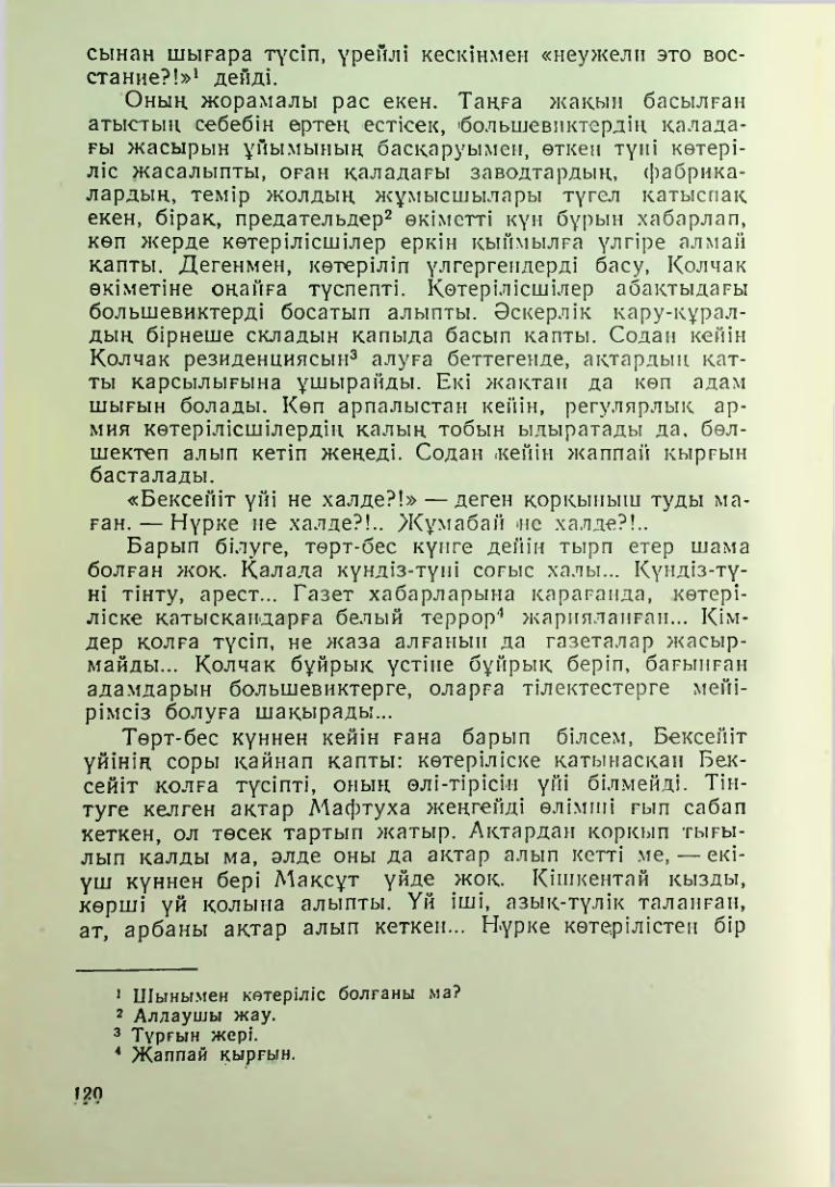 Страница 117