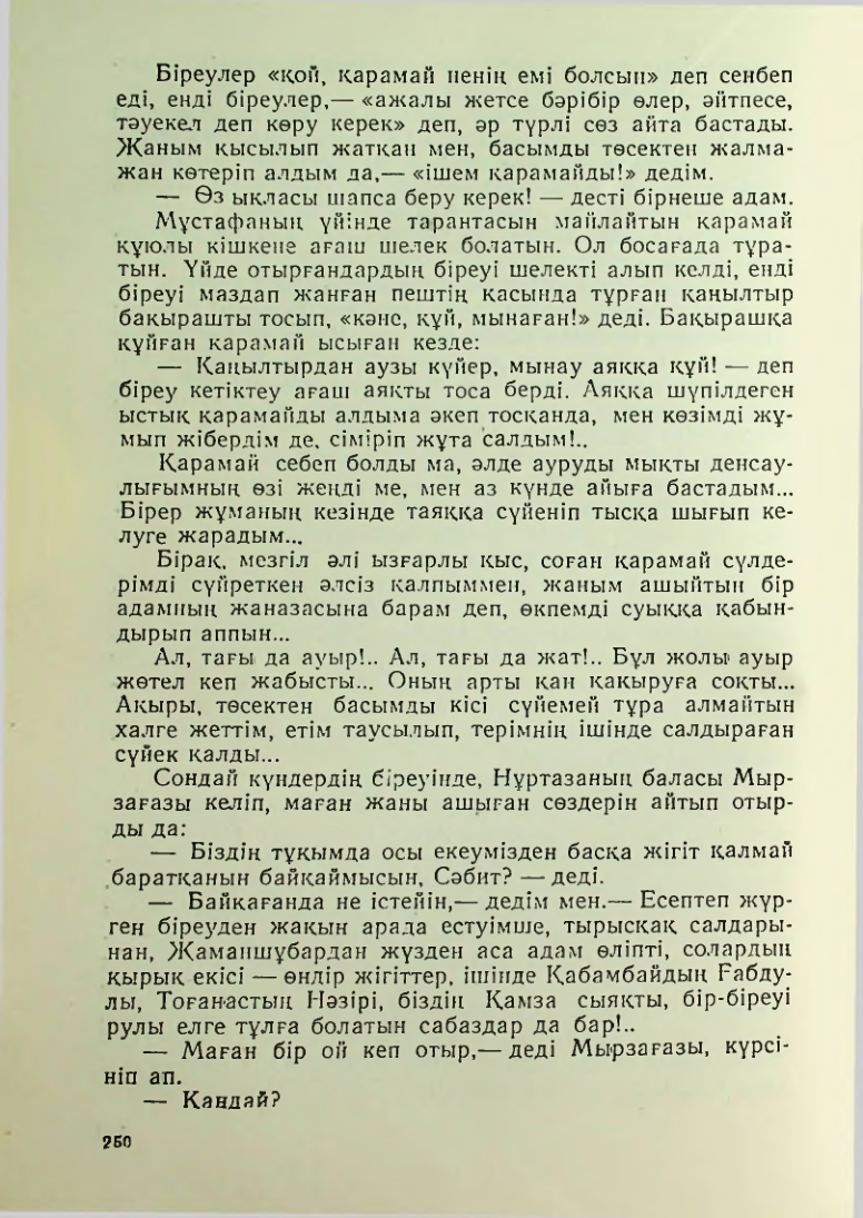 Страница 247