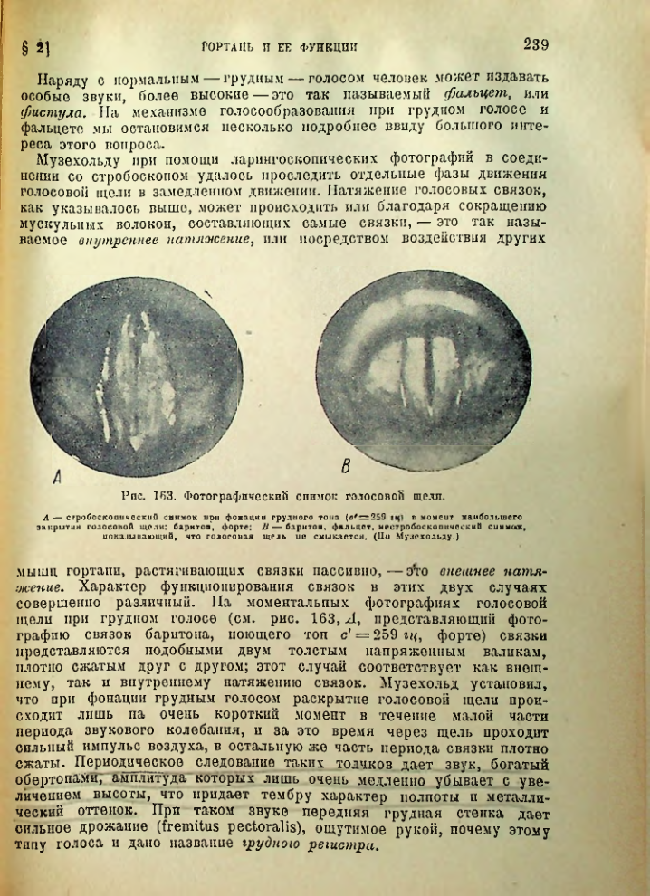 Страница 240