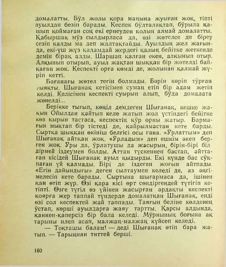 Страница 161