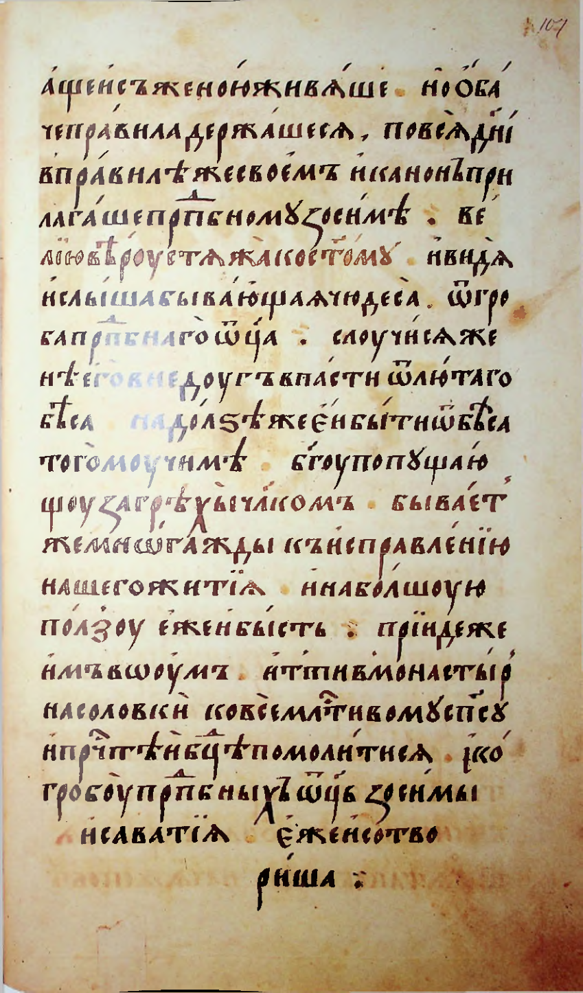 Страница 215