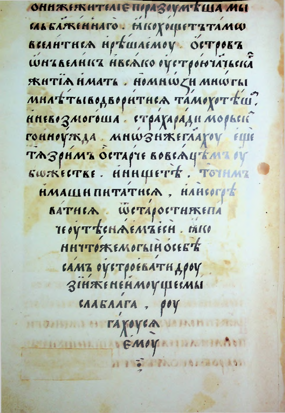 Страница 24