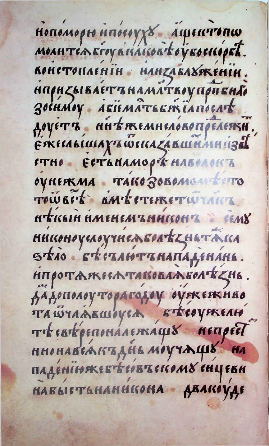 Страница 244