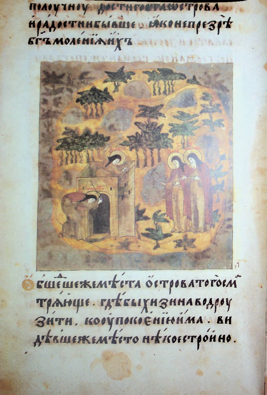 Страница 28