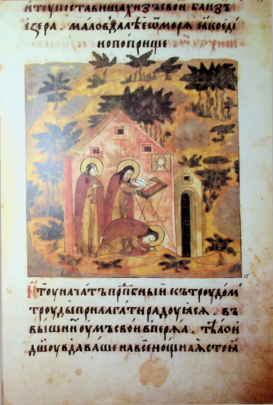 Страница 29
