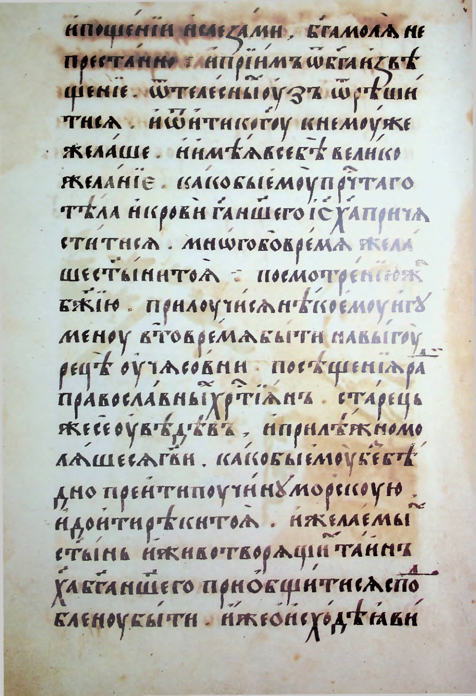 Страница 36