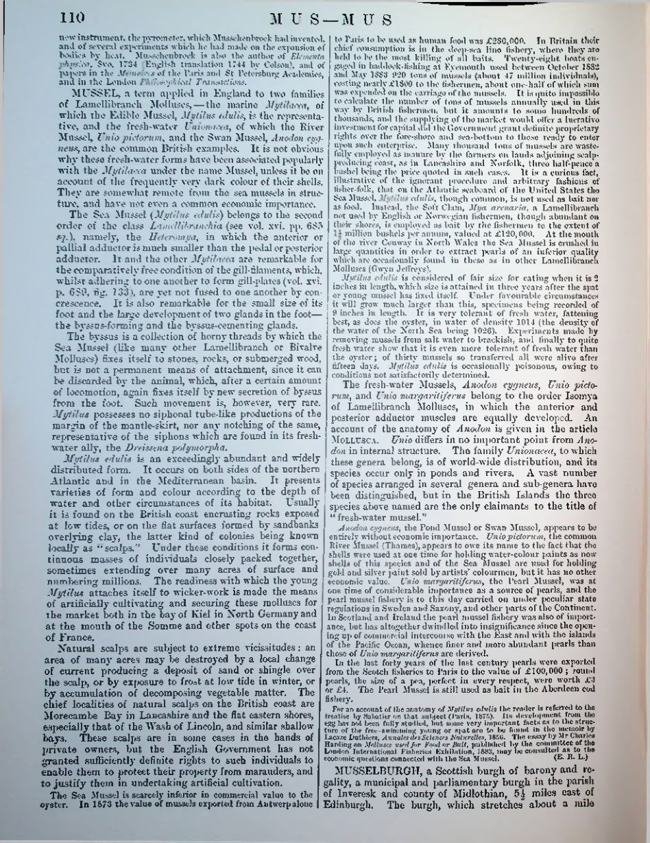 Страница 113