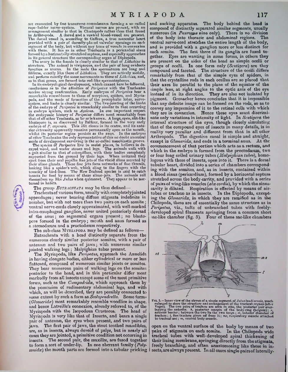 Страница 120