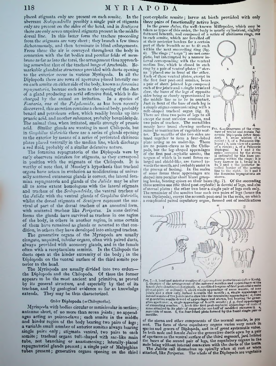 Страница 121