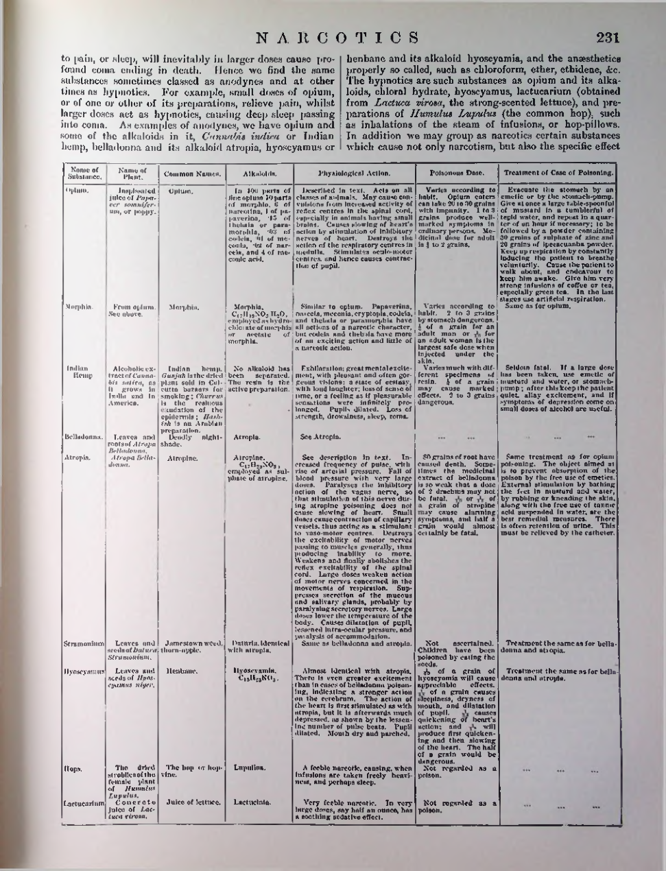 Страница 234