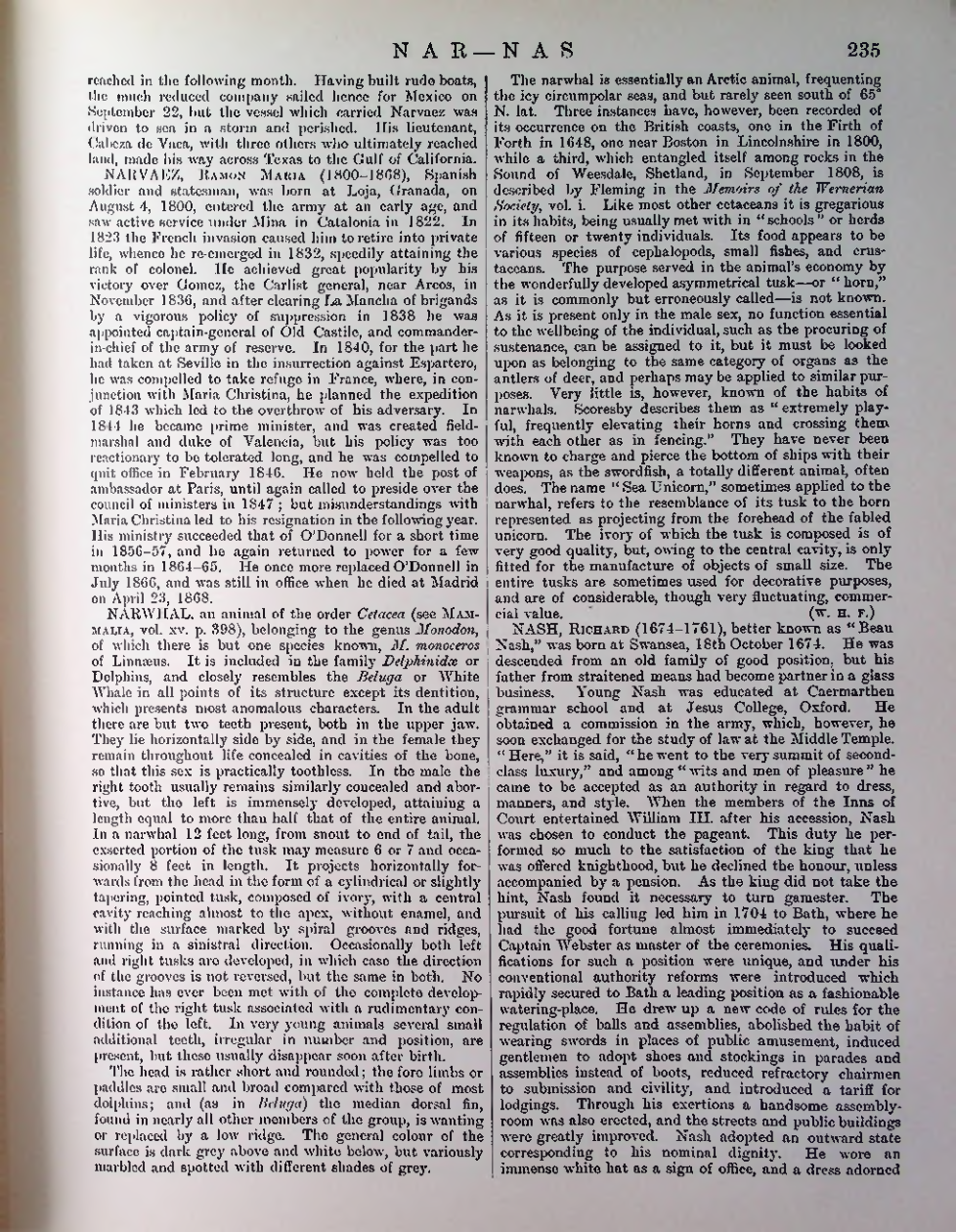 Страница 238