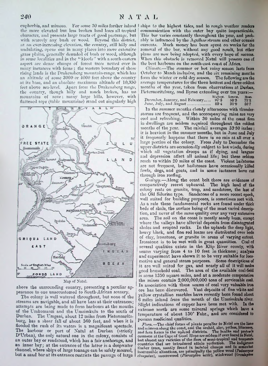 Страница 243