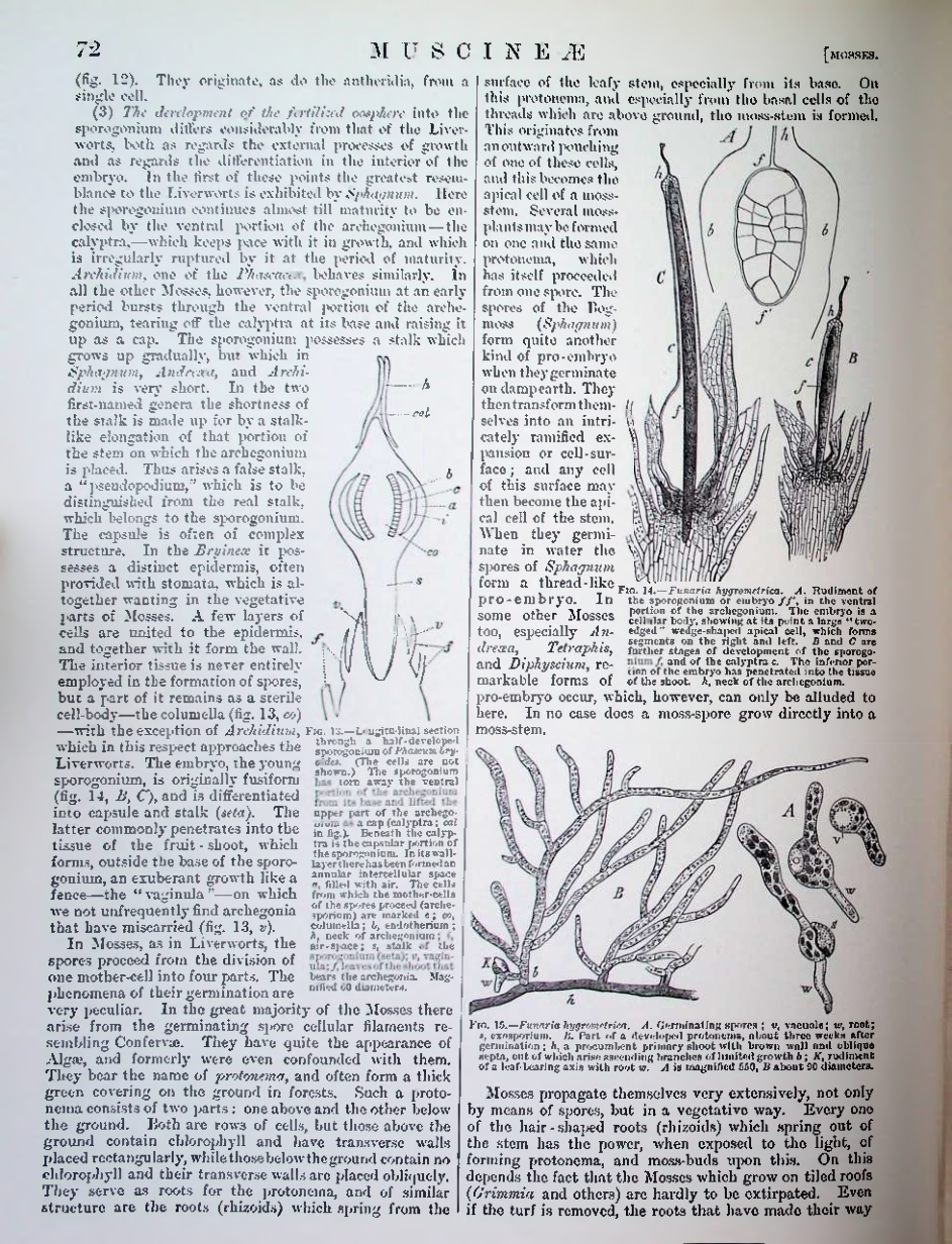 Страница 75