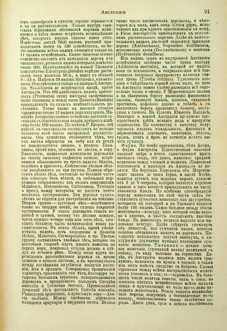 Страница 97