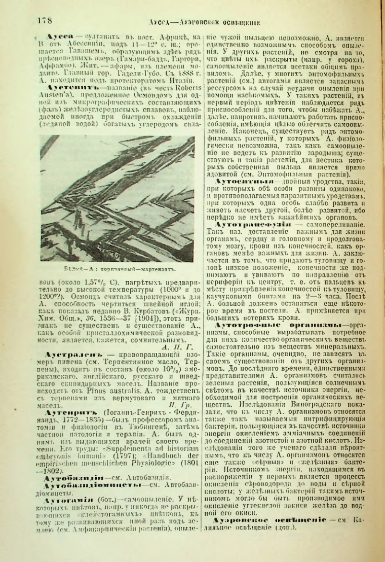 Страница 184
