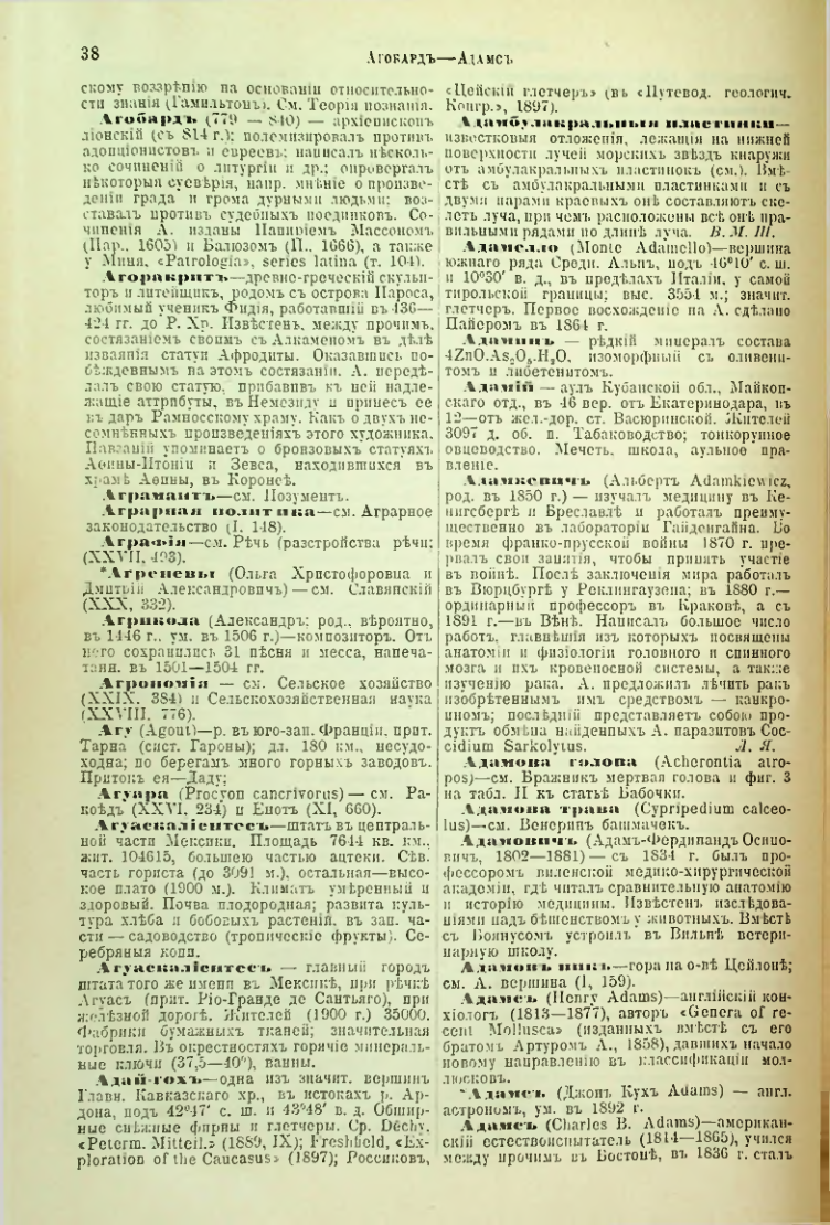 Страница 43