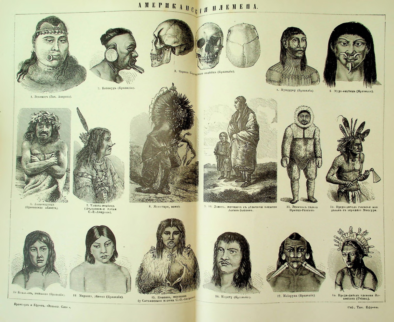 Страница 169