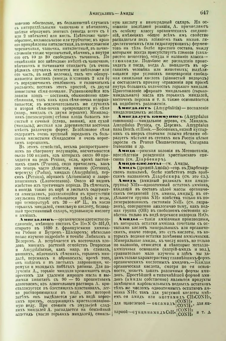 Страница 177
