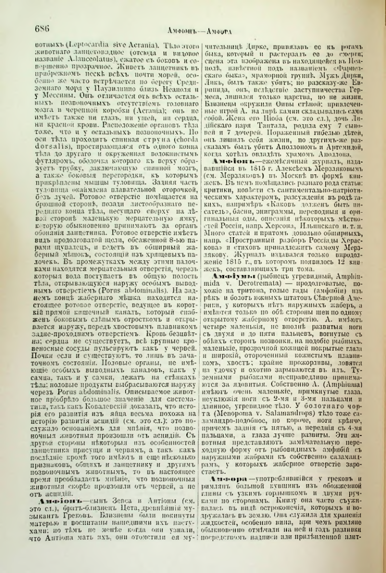 Страница 217