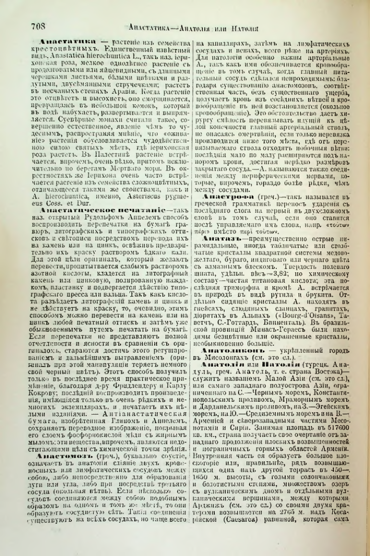 Страница 239