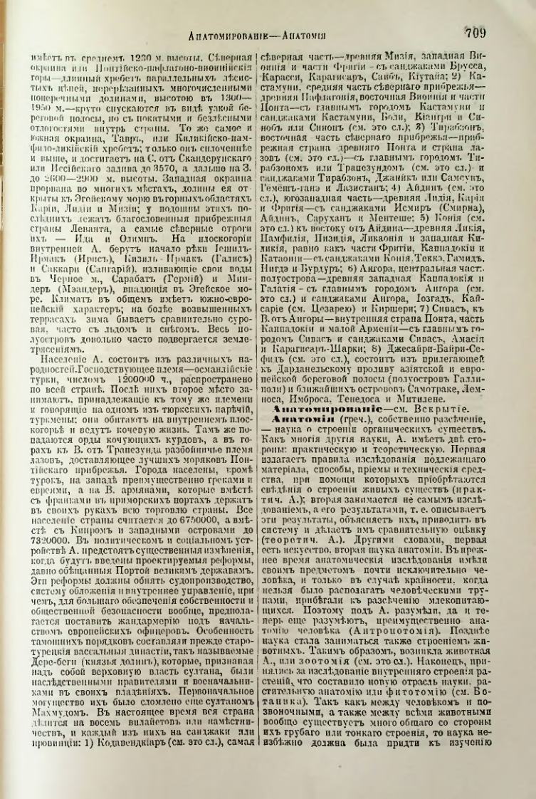 Страница 240
