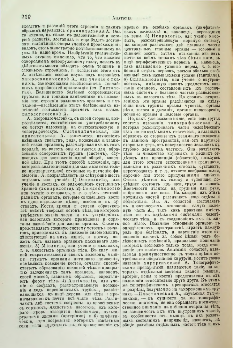Страница 241