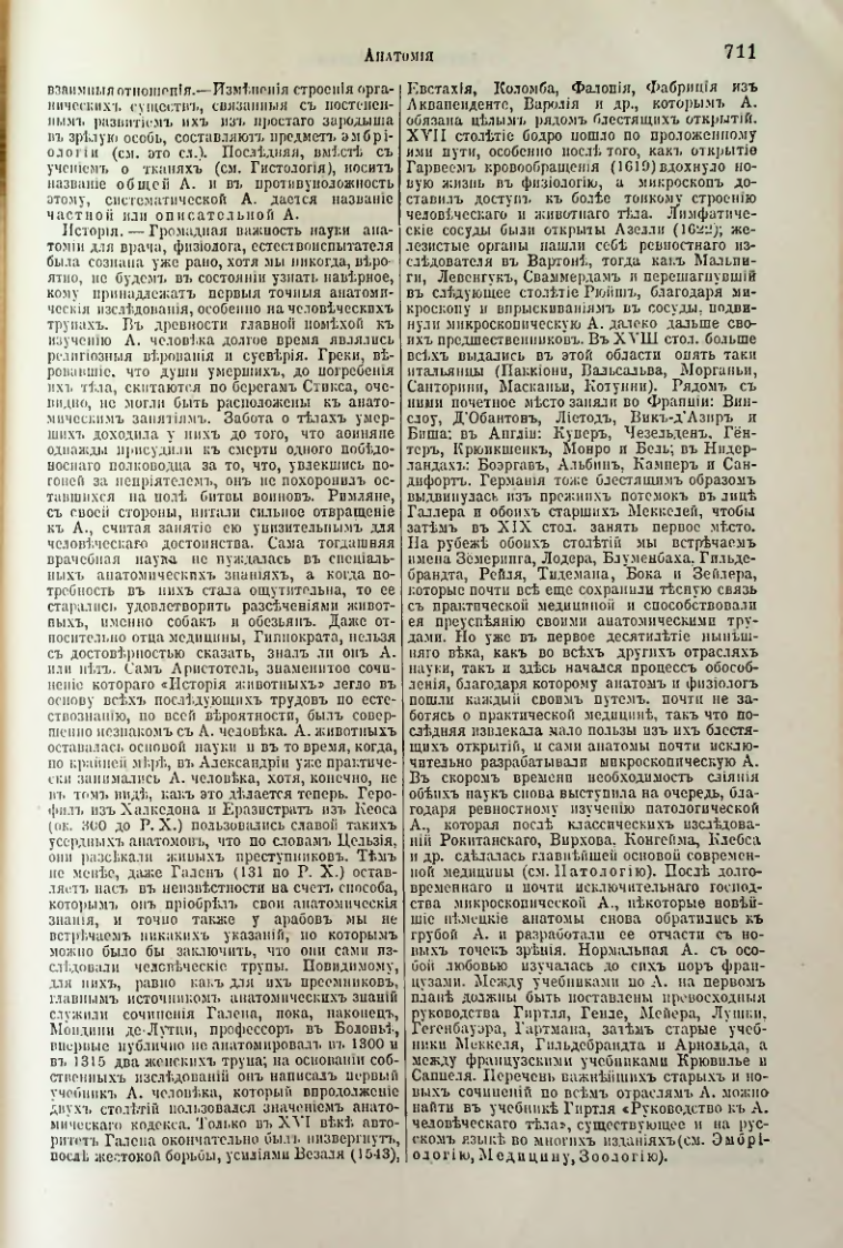 Страница 242